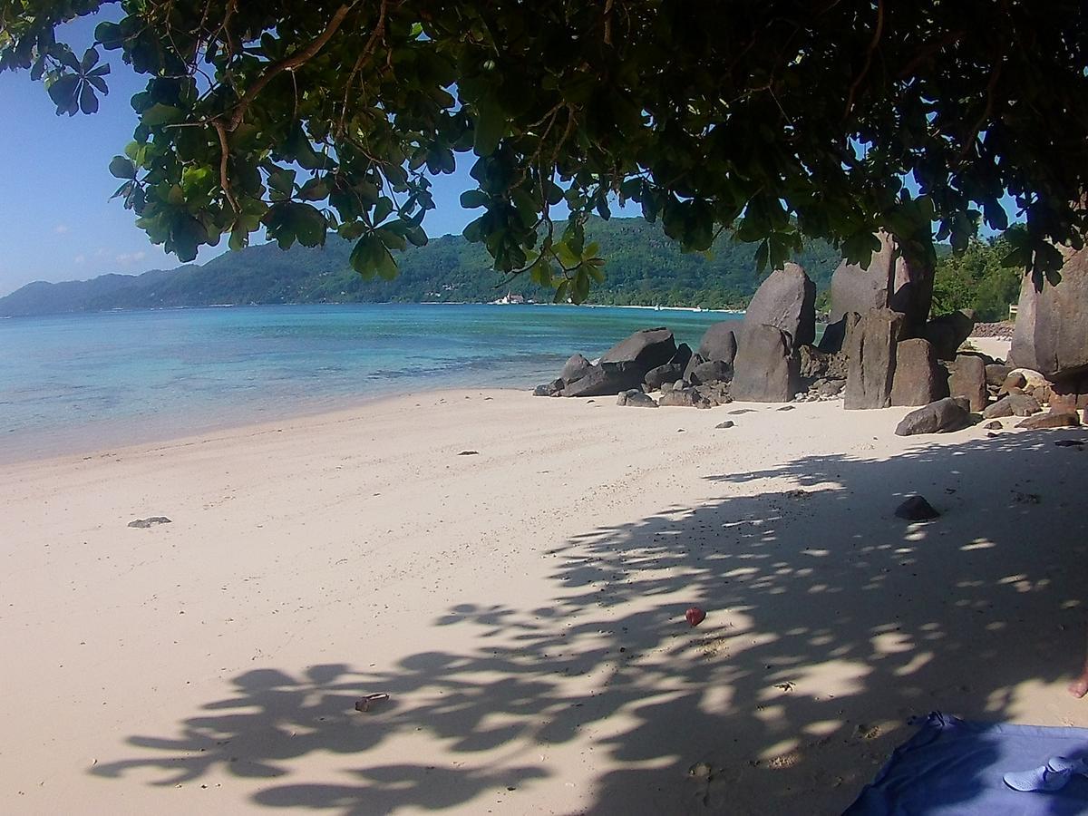 Villa Ocean Bird & Wanita'S Self Catering Pointe Au Sel Esterno foto